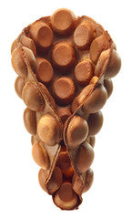 Chocolate Bubble Waffle